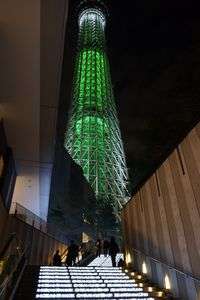 クリスマスツリー（大きめ）