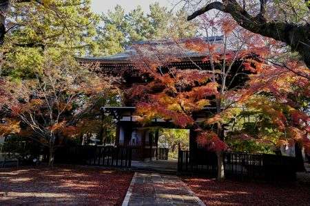 東漸寺　山門（仁王門）