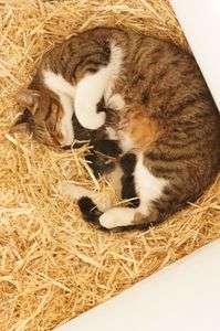 産まれました♪