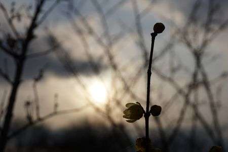 花の名前・・・忘れた＾＾