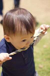 おヒモかじり虫