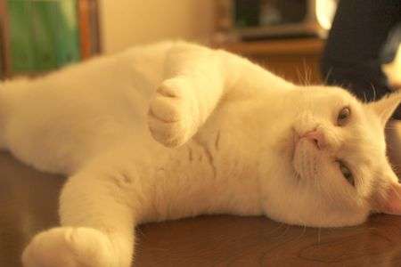 節電は大変です…