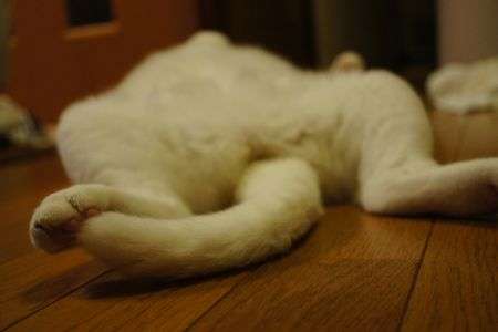 ちょっとこれどう思う？