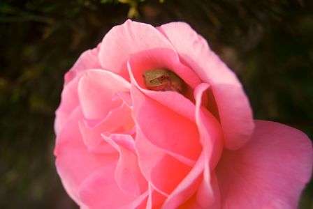 もぅいいか～い？もぅ、いいよ～！！