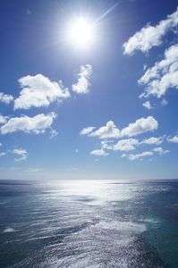 Waikiki beach/Hawaii Oahu 