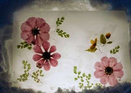 第１４回小樽雪あかりの路