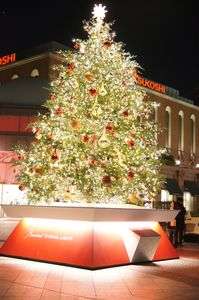 あわてんぼうのクリスマス（？）