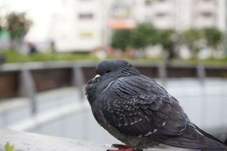 毎日毎日寒くて嫌になっちゃうの