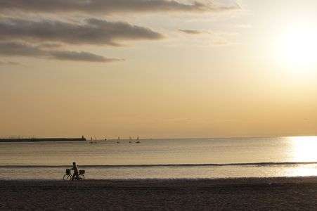 わたしたちに許された特別な時間の終わり