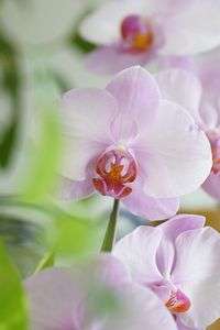 やさしく笑って