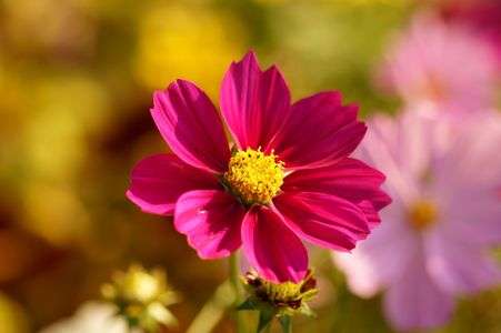 2011年　秋の湧永庭園その３