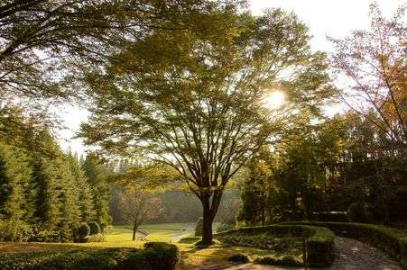 秋の夕陽（於：湧永満之記念庭園）