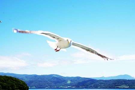 パトロール中その2