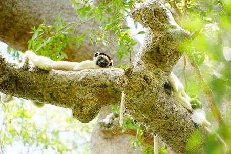 いま眠いから後にして・・