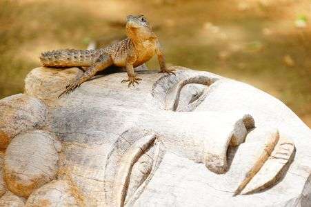 ココはどこや。