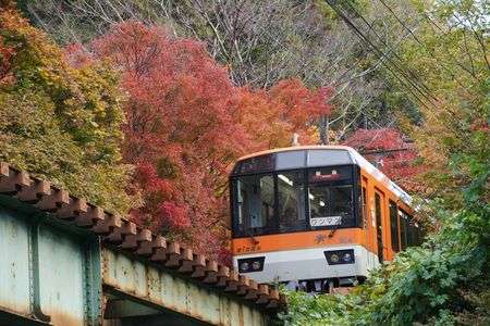今年の紅葉　その3