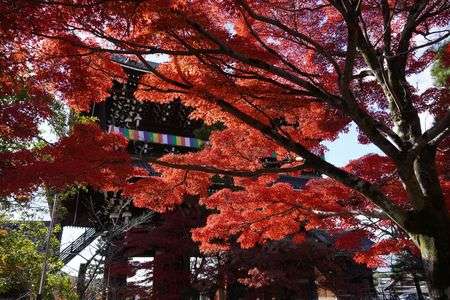 京の紅葉巡り　その4