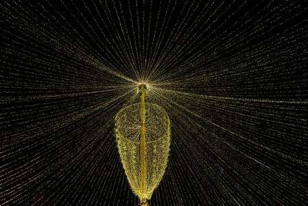 光のアンブレラ