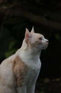 視線の先には………