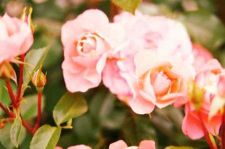 Which do you like..?