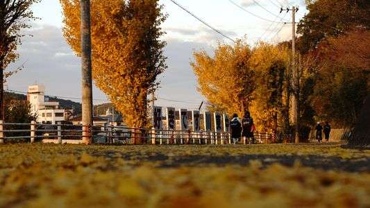 優しい表情になる夕焼け