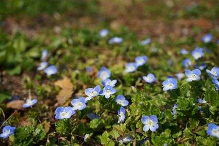 踏まないでー！！