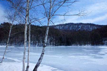 春近し御射鹿池