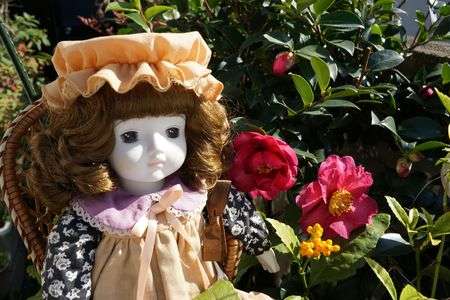 愛嬢日記　サザンカの咲いた日　2018