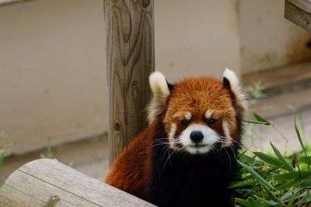 可哀想に、、、