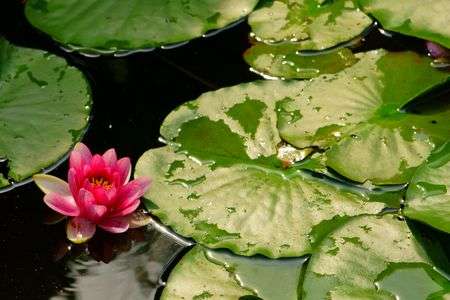 まばゆい光を感じて