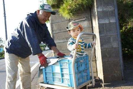 跡取り　お孫くん