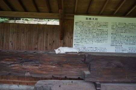 お気に入りの場所