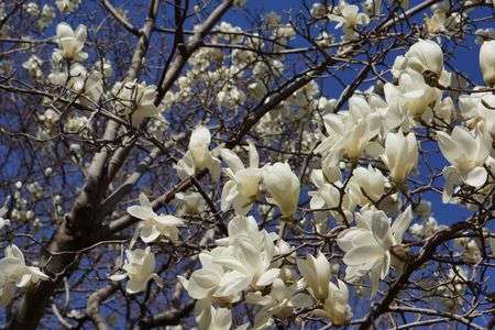 春を思い出して…2