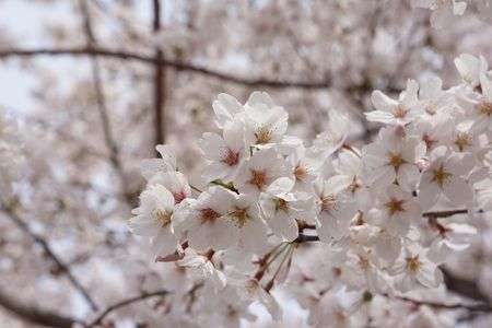 春を思い出して…4