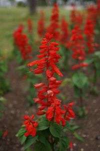 お気に入りの場所にて