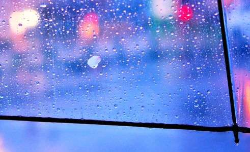 さくら、ひとつぶ