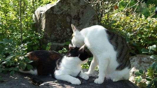 仲良しです(^o^)