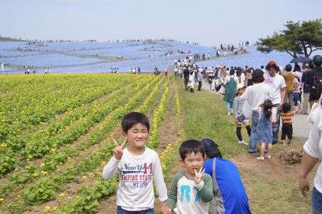 国営ひたち海浜公園は春真っ盛り！