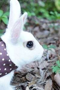 まるの瞳にも水色