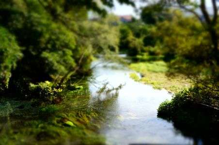 柿田川　第一展望台