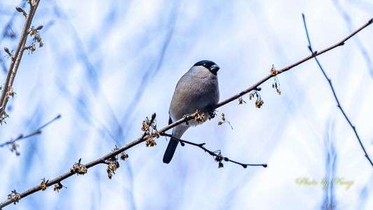 遠征先での#ウソ#♬