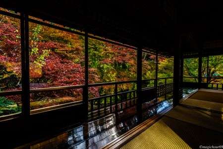 京都　瑠璃光院　秋