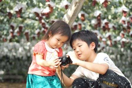 ちゃんと撮れた