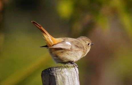 さわらないでねッ・・・
