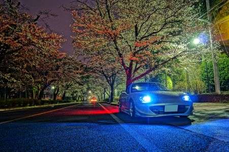 ロードスターと桜