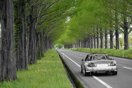 Ｍｅｔａｓｅｑｕｏｉａ！