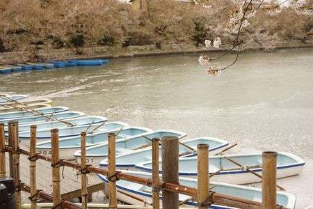 ずらっとならんでる