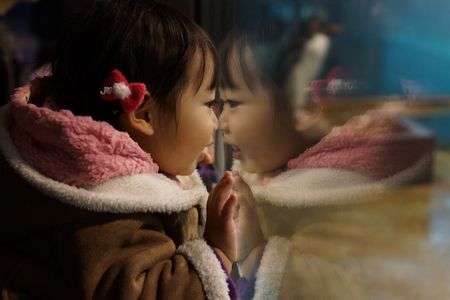 Ｌｏｖｅ ペンギン