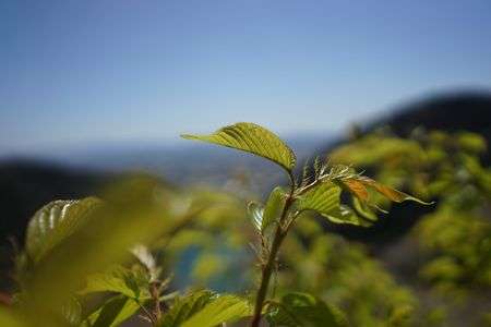 お気に入りの場所