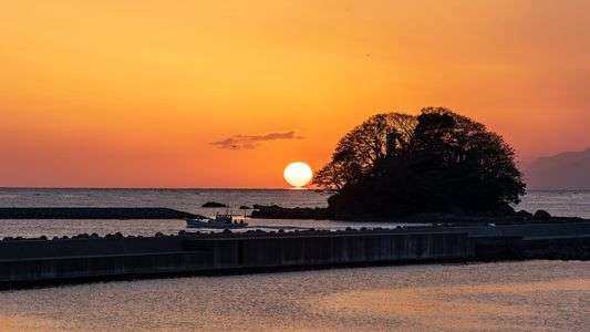 初めて撮影出来たダルマさん